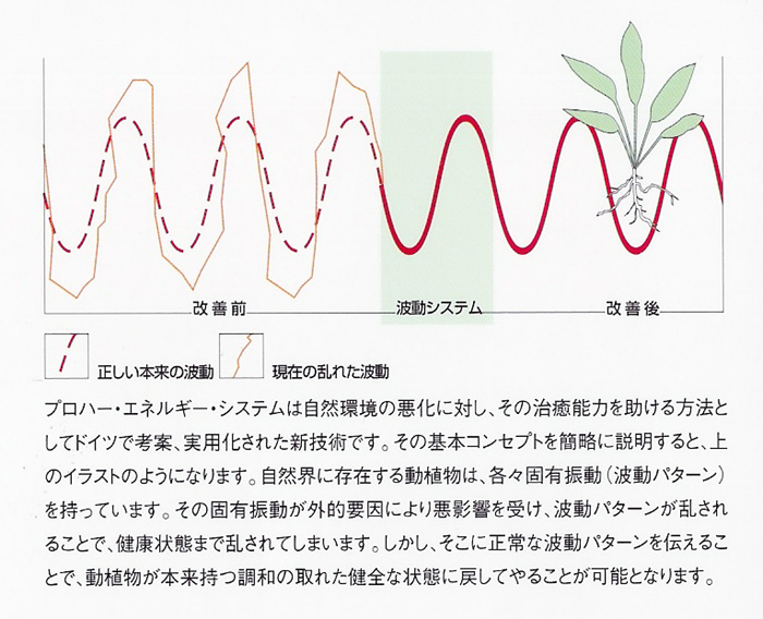 ペナックＷ/アクアリウム用