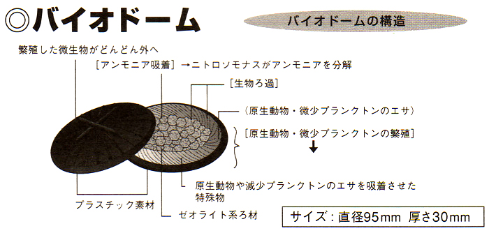 バイオドームの構造