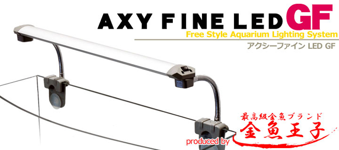 AXY FINE LED GF アクシーファイン LED GF