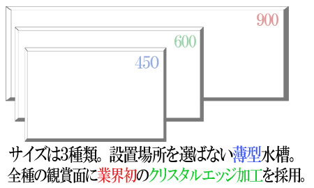 [任意の値]