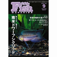 フィッシュマガジン 2008年9月