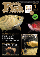 フィッシュマガジン 2009年1月号