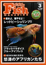 フィッシュマガジン 2006年3月号