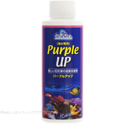 カリブシー パープルアップ 120ml