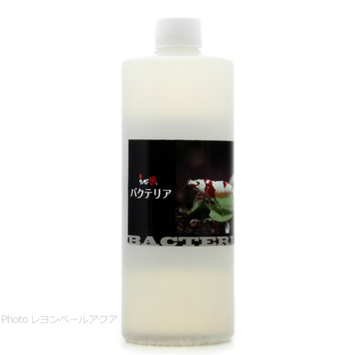 エビ天 バクテリア 500ml