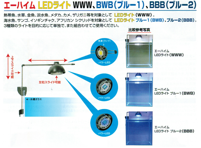 LEDライト 色比較