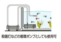 循環ポンプイメージ