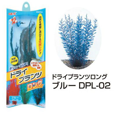 ドライプランツロング DPL-02