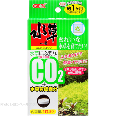 水草一番CO2ブロック