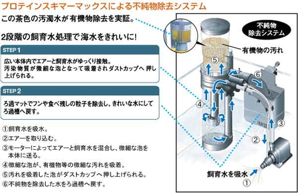 不燃物除去システム