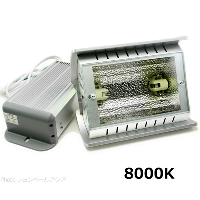 ファンネル2 8000K