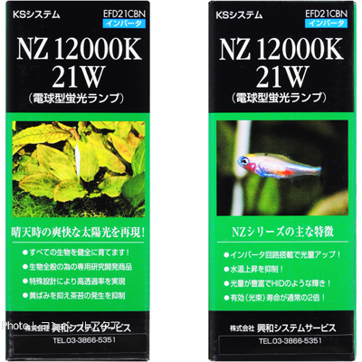 NZ 12000K 21W