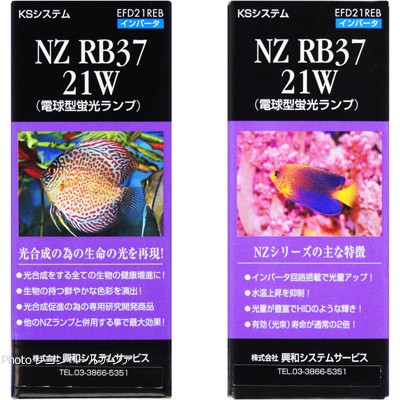 交換球 NZ RB37 ボール球形 21W