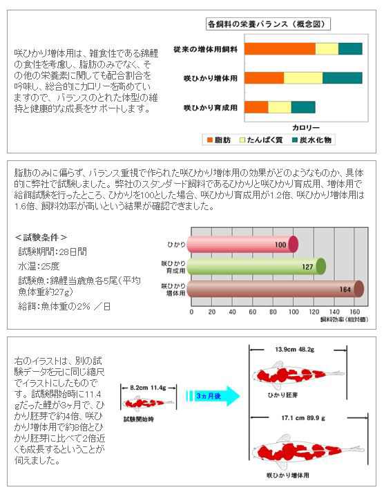 咲ひかり 増体用 浮上