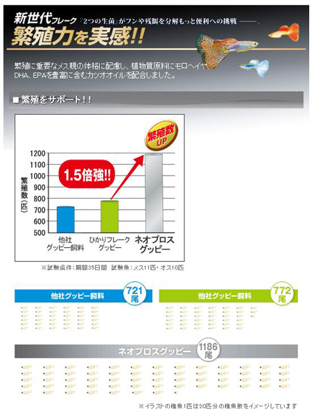 ネオプロスグッピーの繁殖数