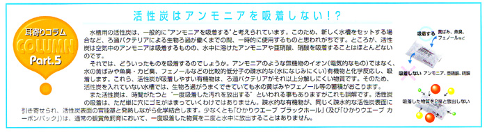 超高性能活性炭ブラックホールの耳寄りコラム