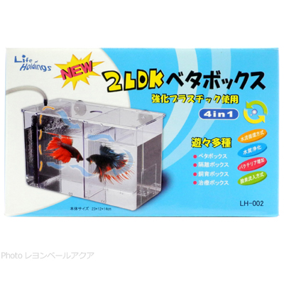 2LDKベタボックス