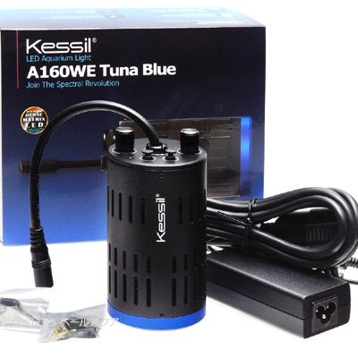 Kessil A160WE TUNA Blue ケシル ツナブルー