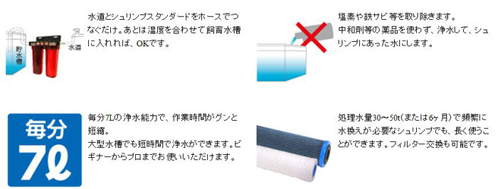 シュリンプ スタンダード 特徴