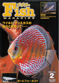 フィッシュマガジン 2007年2月号