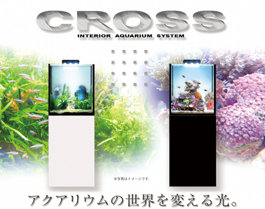 CROSS4550オーバーフロー水槽セット