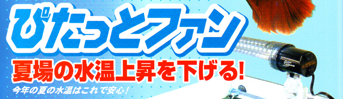 ぴたっとファン夏場の水温上昇を下げる