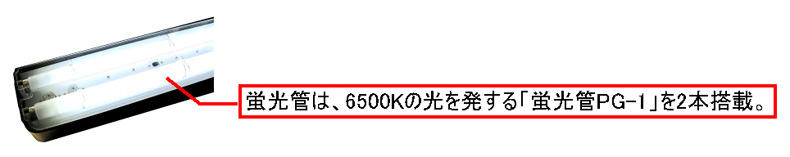 カラーライト 600T 蛍光管詳細