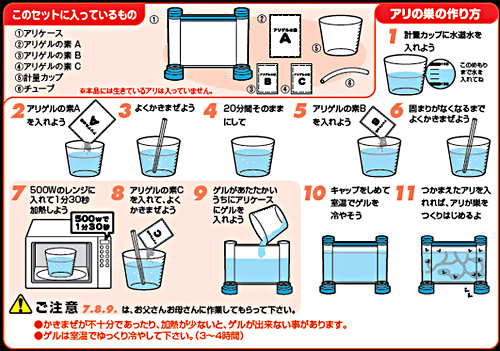 セット内容 アリの巣の作り方