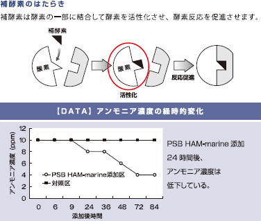 アクアマスターズ PSB HAM-marine