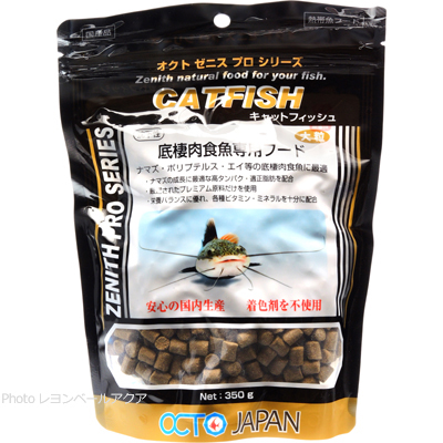 キャットフィッシュ 350g