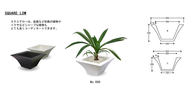 スクエアロ SQUARE LOW plants6