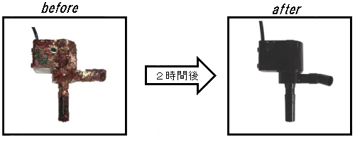 イージークリーン使用例（循環ポンプ）