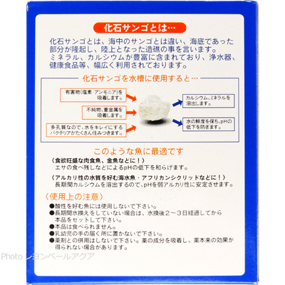 ソネケミファ 化石サンゴ 1Kg（500g×2/ネット入） 説明