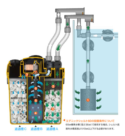 エデニックシェルト60