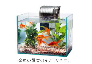 LEDライト付観賞魚飼育セット GA-30LE 金魚の飼育イメージ