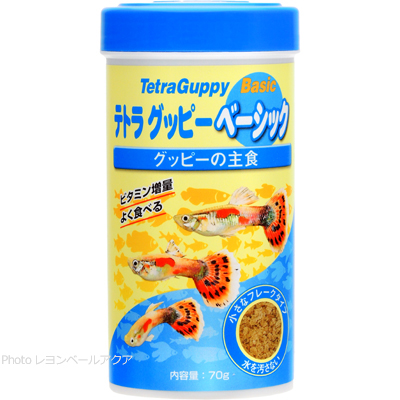 テトラ グッピー ベーシック 70g