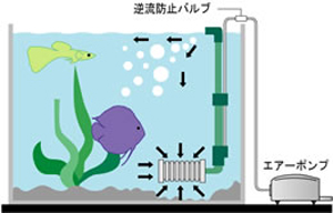 水槽設置例