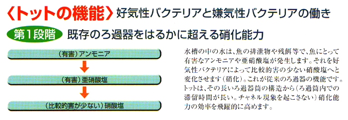 トットの機能