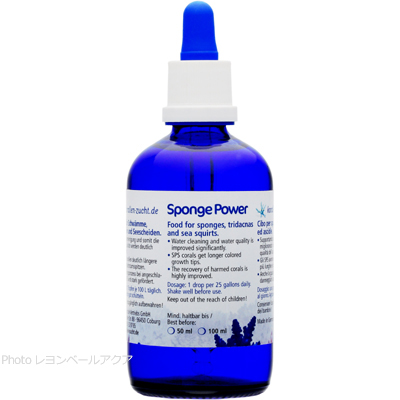 Sponge Power 100ml